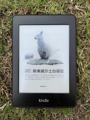 Kindle Paperwhite 5th with Doukan
