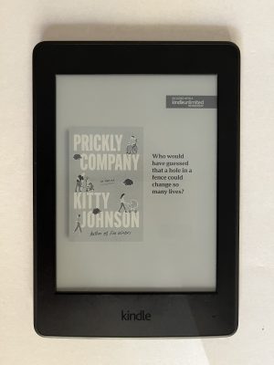 Kindle Paperwhite 7th - 4Gb ()