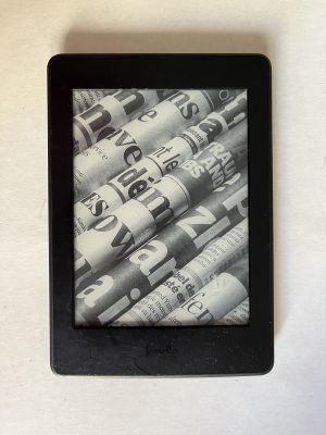 Kindle Paperwhite 7th - 4Gb () (-)